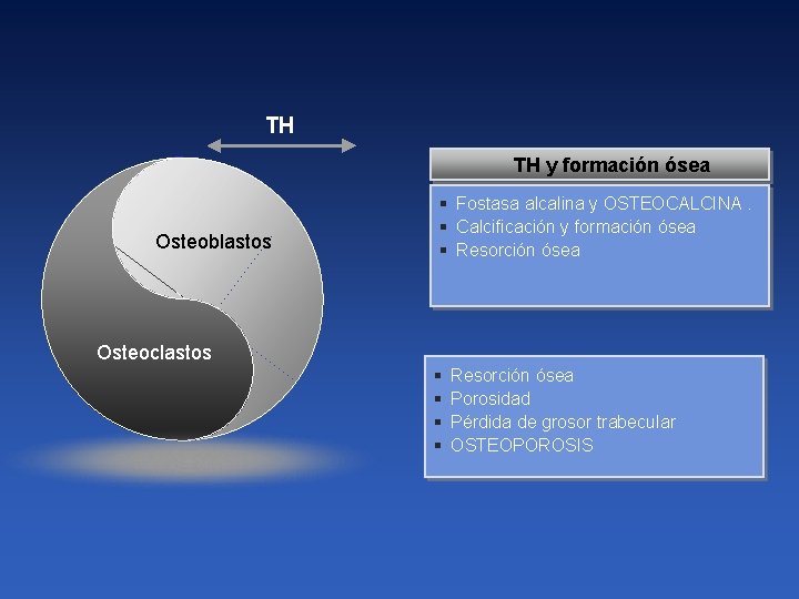 TH TH y formación ósea Osteoblastos § Fostasa alcalina y OSTEOCALCINA. This is a