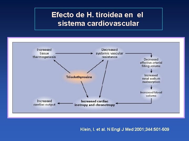 Efecto de H. tiroidea en el sistema cardiovascular Klein, I. et al. N Engl