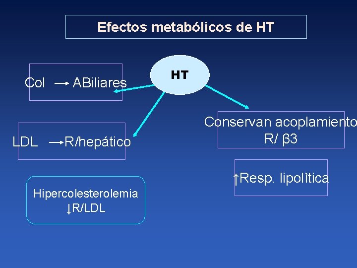 Efectos metabólicos de HT Col ABiliares LDL R/hepático HT Conservan acoplamiento R/ β 3