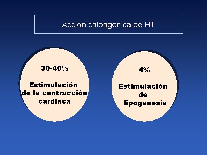 Acción calorigénica de HT 30 -40% 4% Estimulación de la contracción cardiaca Estimulación de
