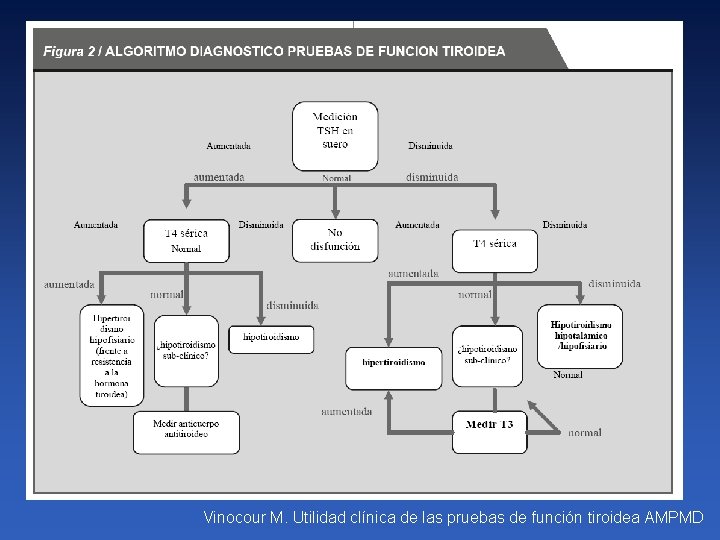 Vinocour M. Utilidad clínica de las pruebas de función tiroidea AMPMD 