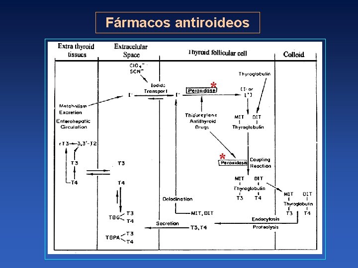 Fármacos antiroideos * * 