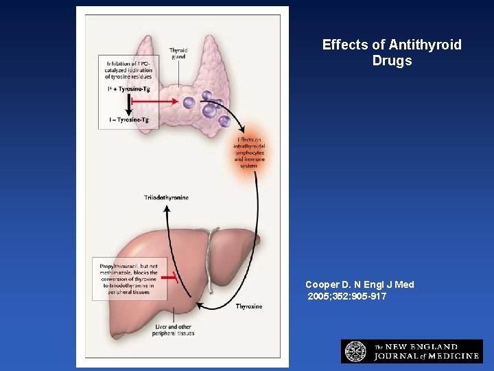 Effects of Antithyroid Drugs Cooper D. N Engl J Med 2005; 352: 905 -917