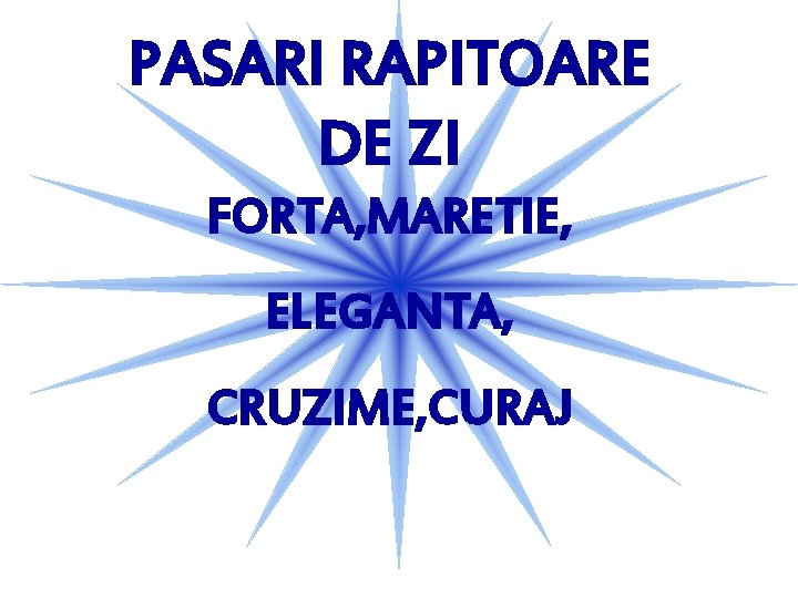 PASARI RAPITOARE DE ZI FORTA, MARETIE, ELEGANTA, CRUZIME, CURAJ 