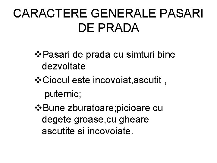 CARACTERE GENERALE PASARI DE PRADA v. Pasari de prada cu simturi bine dezvoltate v.