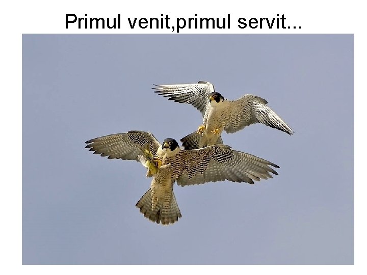 Primul venit, primul servit. . . 