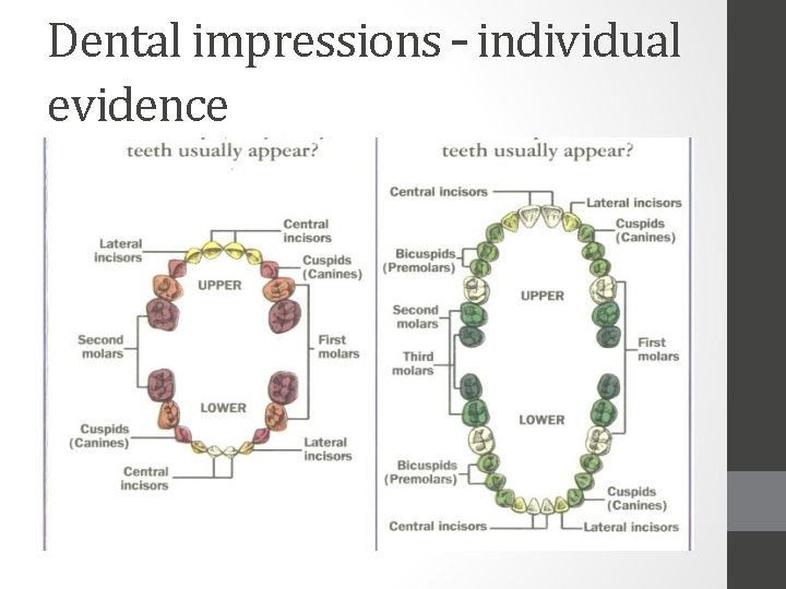 Dental impressions – individual evidence 