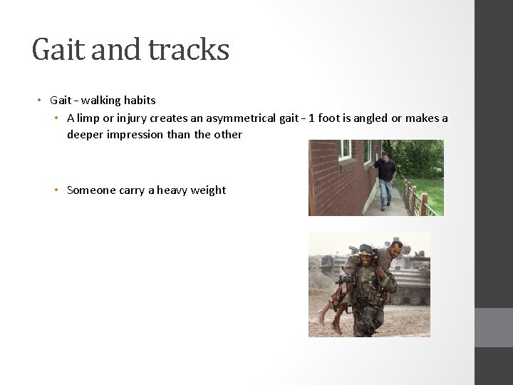 Gait and tracks • Gait – walking habits • A limp or injury creates