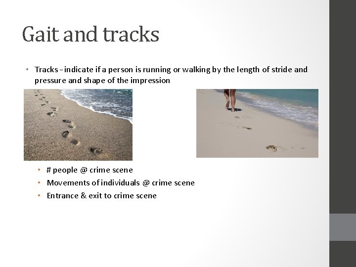 Gait and tracks • Tracks – indicate if a person is running or walking