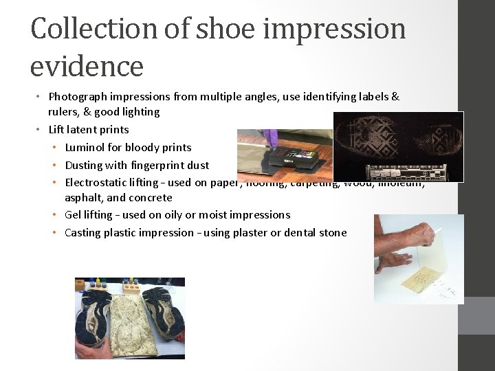 Collection of shoe impression evidence • Photograph impressions from multiple angles, use identifying labels