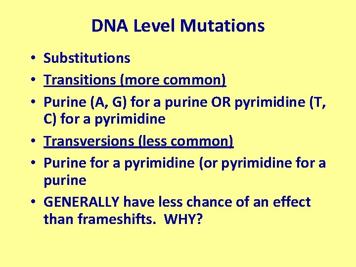 DNA Level Mutations • Substitutions • Transitions (more common) • Purine (A, G) for