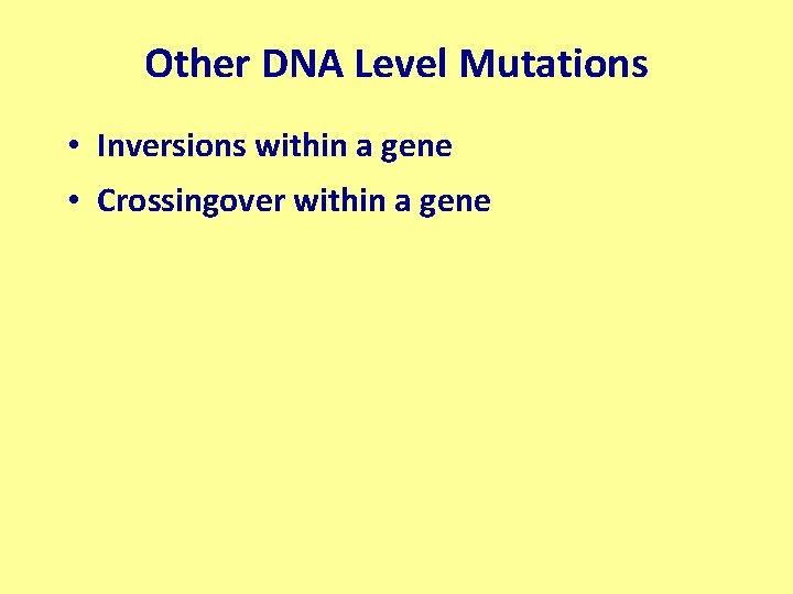 Other DNA Level Mutations • Inversions within a gene • Crossingover within a gene