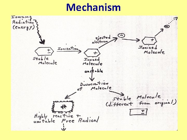 Mechanism 