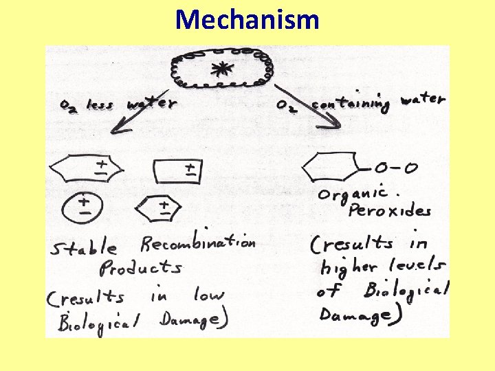 Mechanism 