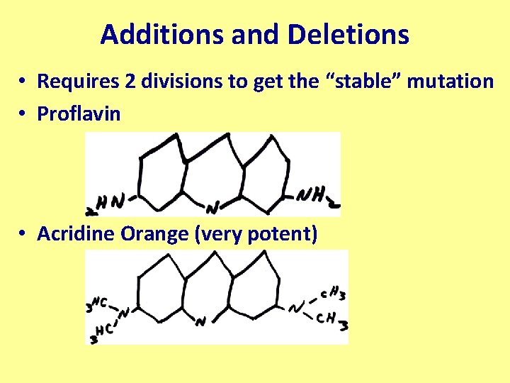 Additions and Deletions • Requires 2 divisions to get the “stable” mutation • Proflavin