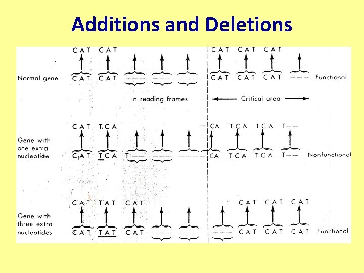 Additions and Deletions 