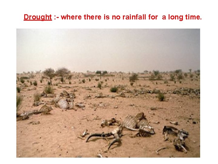 Drought : - where there is no rainfall for a long time. 