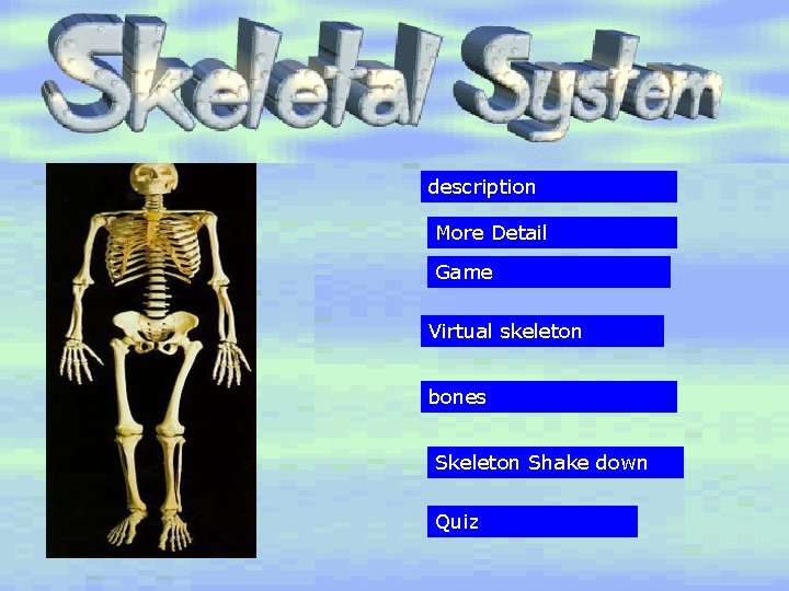 description More Detail Game Virtual skeleton bones Skeleton Shake down Quiz 