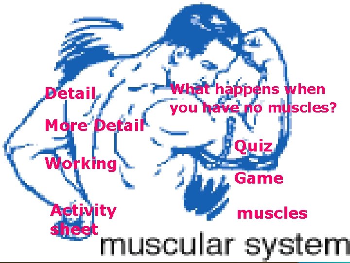 Detail What happens when you have no muscles? More Detail Working Activity sheet Quiz