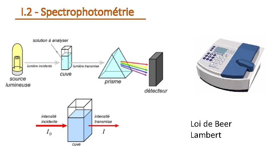 I. 2 - Spectrophotométrie Loi de Beer Lambert 