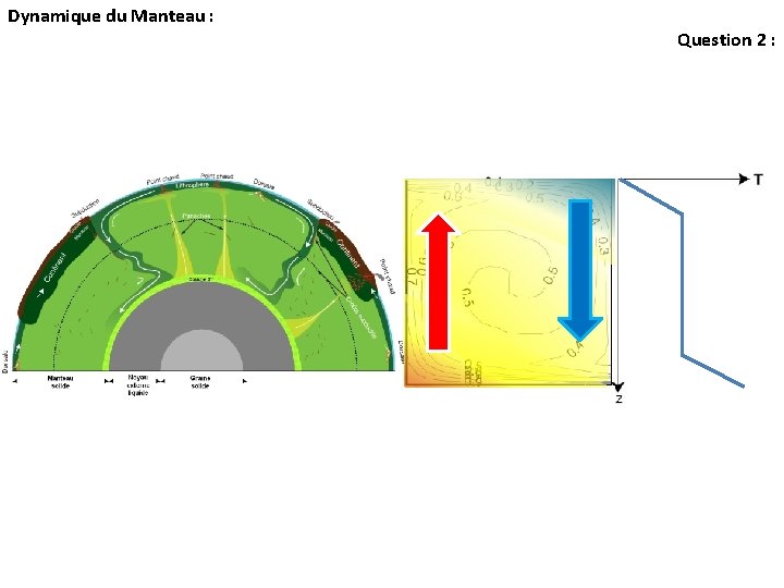 Dynamique du Manteau : Question 2 : Dynamique du Manteau : Question 2 :