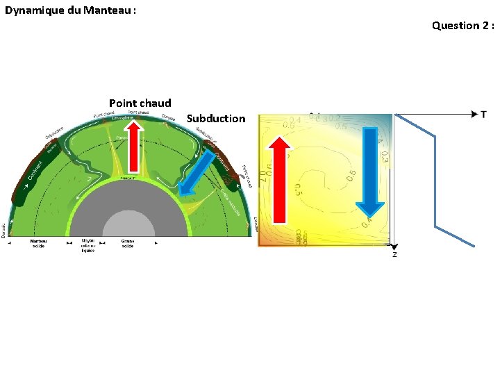 Dynamique du Manteau : Question 2 : Point chaud Subduction Dynamique du Manteau : Question 2 : Point chaud Subduction