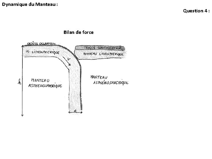 Dynamique du Manteau : Question 4 : Bilan de force Dynamique du Manteau : Question 4 : Bilan de force
