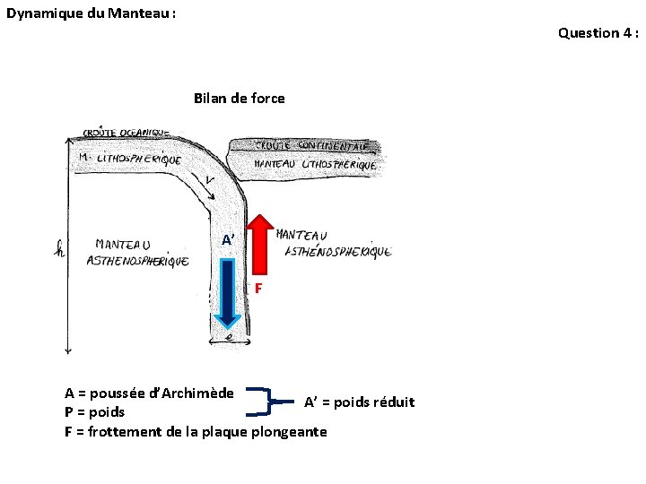 Dynamique du Manteau : Question 4 : Bilan de force A’ F A = Dynamique du Manteau : Question 4 : Bilan de force A’ F A =