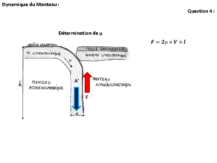 Dynamique du Manteau : Question 4 : Détermination de µ A’ F Dynamique du Manteau : Question 4 : Détermination de µ A’ F