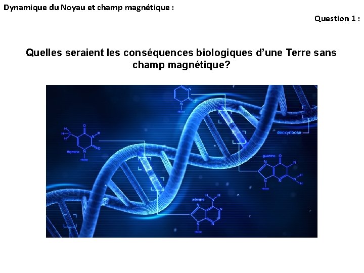 Dynamique du Noyau et champ magnétique : Question 1 : Quelles seraient les conséquences Dynamique du Noyau et champ magnétique : Question 1 : Quelles seraient les conséquences