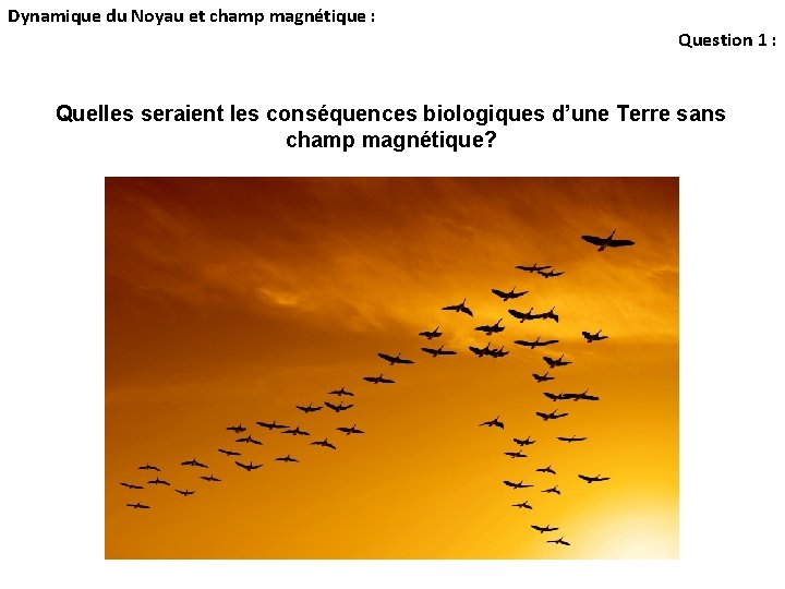Dynamique du Noyau et champ magnétique : Question 1 : Quelles seraient les conséquences Dynamique du Noyau et champ magnétique : Question 1 : Quelles seraient les conséquences