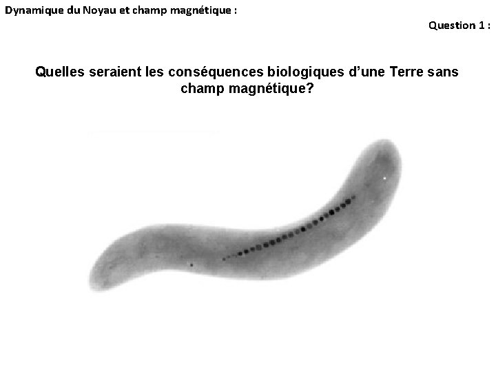Dynamique du Noyau et champ magnétique : Question 1 : Quelles seraient les conséquences Dynamique du Noyau et champ magnétique : Question 1 : Quelles seraient les conséquences