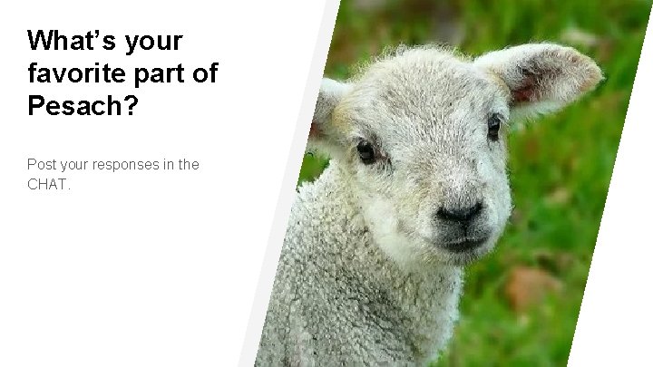 What’s your favorite part of Pesach? Post your responses in the CHAT. 