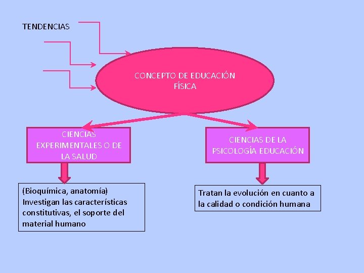 TENDENCIAS CONCEPTO DE EDUCACIÓN FÍSICA CIENCIAS EXPERIMENTALES O DE LA SALUD (Bioquímica, anatomía) Investigan