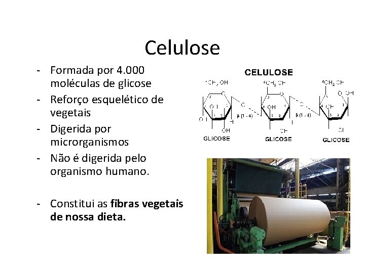 Celulose - Formada por 4. 000 moléculas de glicose - Reforço esquelético de vegetais