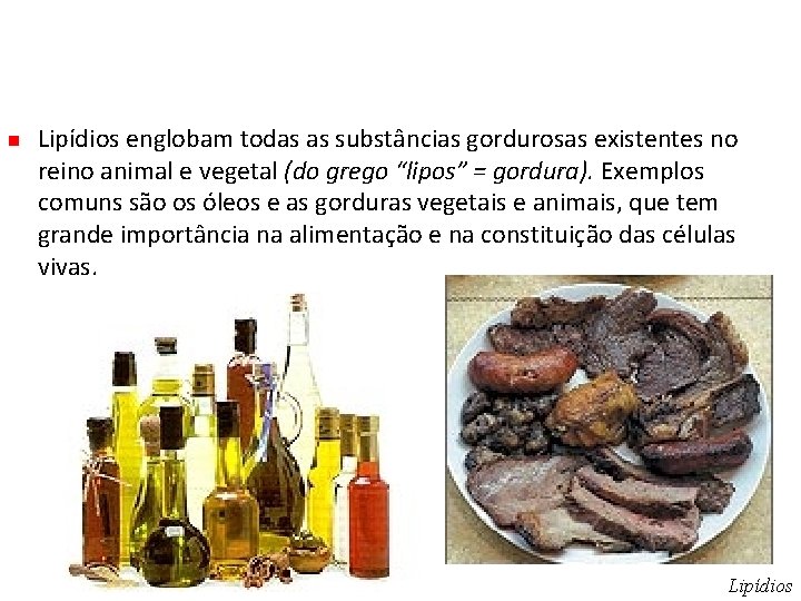  Lipídios englobam todas as substâncias gordurosas existentes no reino animal e vegetal (do