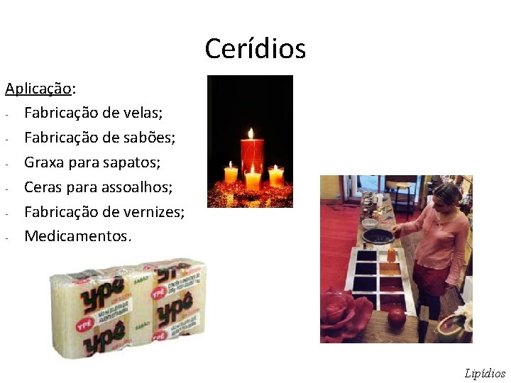 Cerídios Aplicação: - Fabricação de velas; - Fabricação de sabões; - Graxa para sapatos;