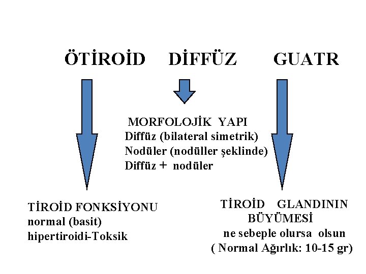 ÖTİROİD DİFFÜZ GUATR MORFOLOJİK YAPI Diffüz (bilateral simetrik) Nodüler (nodüller şeklinde) Diffüz + nodüler