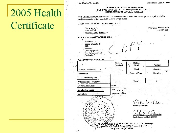 2005 Health Certificate 