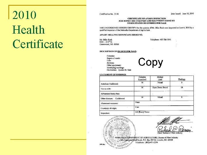 2010 Health Certificate 