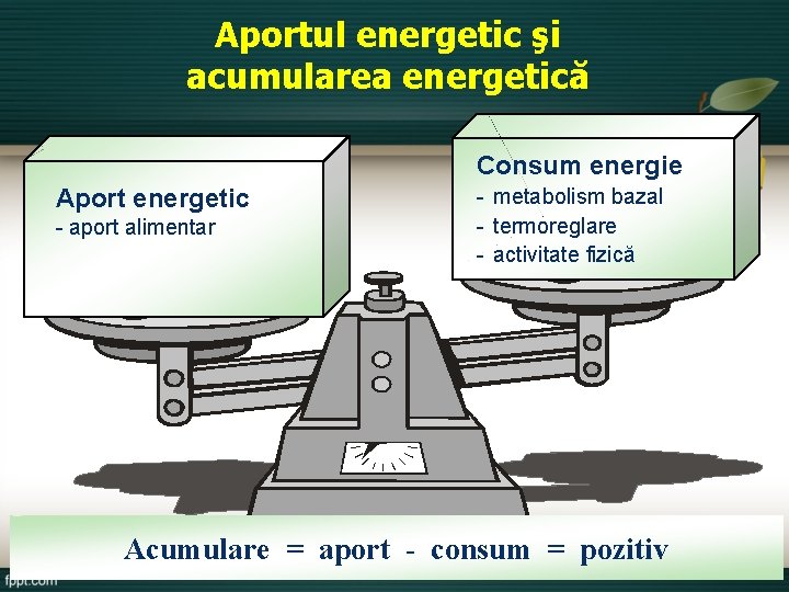 Aportul energetic şi acumularea energetică Consum energie Aport energetic - aport alimentar - metabolism