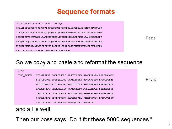 Sequence formats >FOSB_MOUSE Protein fos. B. 338 bp MFQAFPGDYDSGSRCSSSPSAESQYLSSVDSFGSPPTAAASQECAGLGEMPGSFVPTVTA ITTSQDLQWLVQPTLISSMAQSQGQPLASQPPAVDPYDMPGTSYSTPGLSAYSTGGASGS GGPSTSTTTSGPVSARPARARPRRPREETLTPEEEEKRRVRRERNKLAAAKCRNRRRELT DRLQAETDQLEEEKAELESEIAELQKEKERLEFVLVAHKPGCKIPYEEGPGPGPLAEVRD Fasta LPGSTSAKEDGFGWLLPPPPPPPLPFQSSRDAPPNLTASLFTHSEVQVLGDPFPVVSPSY