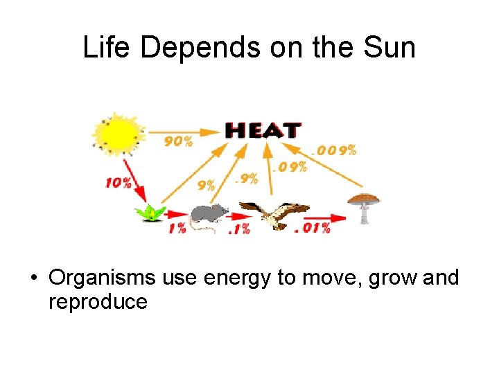 Life Depends on the Sun • Organisms use energy to move, grow and reproduce