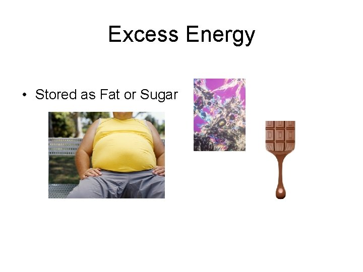 Excess Energy • Stored as Fat or Sugar 