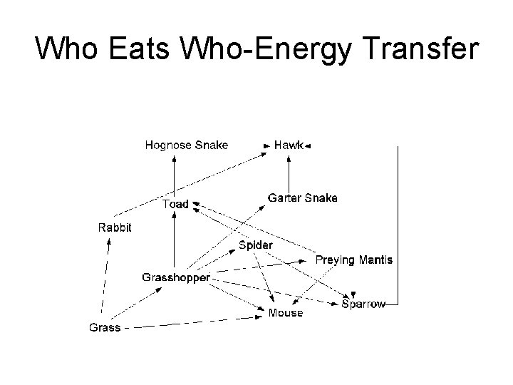 Who Eats Who-Energy Transfer 