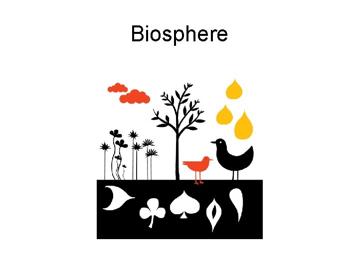 Biosphere 