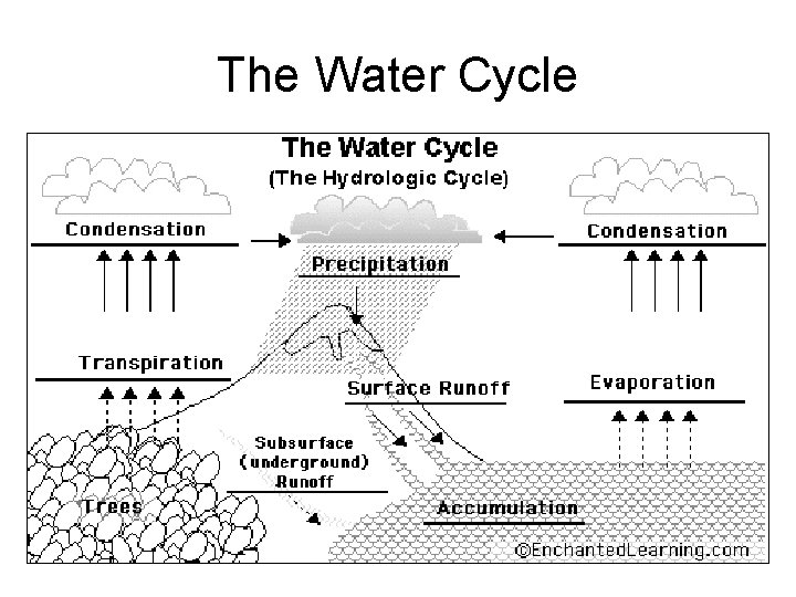 The Water Cycle 