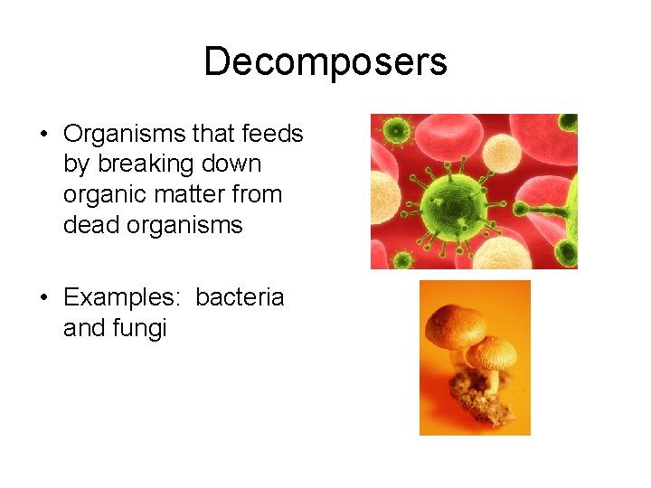 Decomposers • Organisms that feeds by breaking down organic matter from dead organisms •