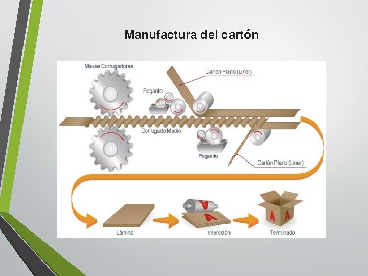 Manufactura del cartón 