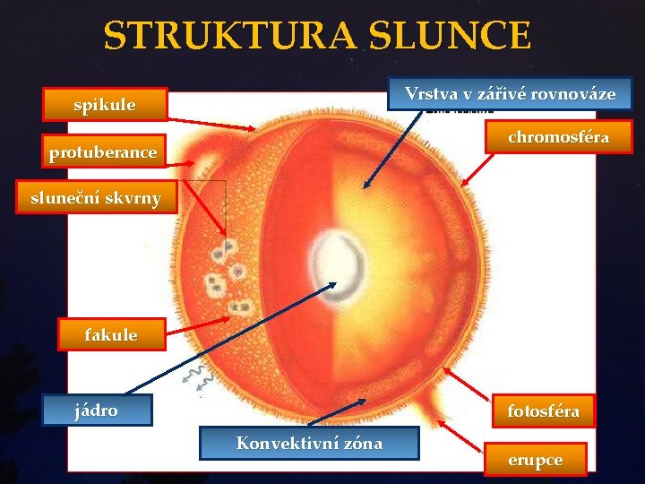 STRUKTURA SLUNCE Vrstva v zářivé rovnováze spikule chromosféra protuberance sluneční skvrny fakule jádro fotosféra